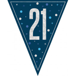 Blue 21st Birthday Plastic Bunting