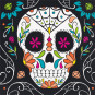 Halloween Day of the Dead Paper Napkins Halloween Day of the Dead Paper Napkins