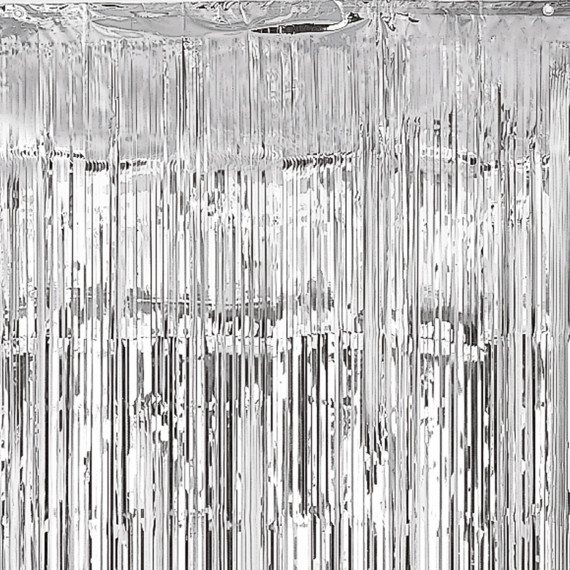 Silver Door Curtain