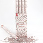 Biodegradable Rose Gold Confetti Cannon