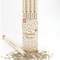 Biodegradable Gold Confetti Cannon