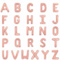 Create your own AIR-FILLED Balloon Banner! - Rose Gold Create your own AIR-FILLED Balloon Banner! - Rose Gold