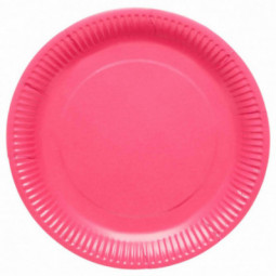 Dark Pink Paper Plates
