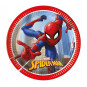 Spider-Man Paper Plates Spider-Man Paper Plates