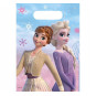 Frozen 2 Plastic Party Bags Frozen 2 Plastic Party Bags