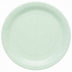 Mint Paper Plates
