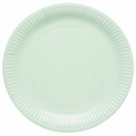 Mint Paper Plates