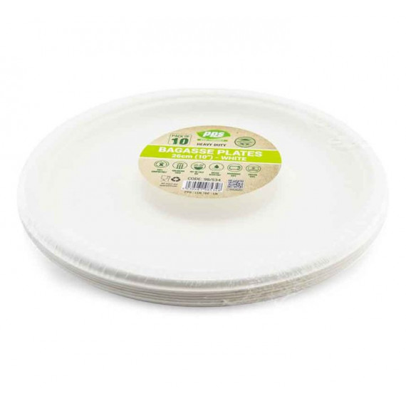 Large White Paper Plates