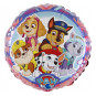 Paw Patrol Round Foil Balloon - Inflated Paw Patrol Round Foil Balloon - Inflated