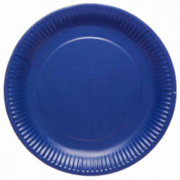 Dark Blue Paper Plates