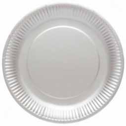 Silver Paper Plates