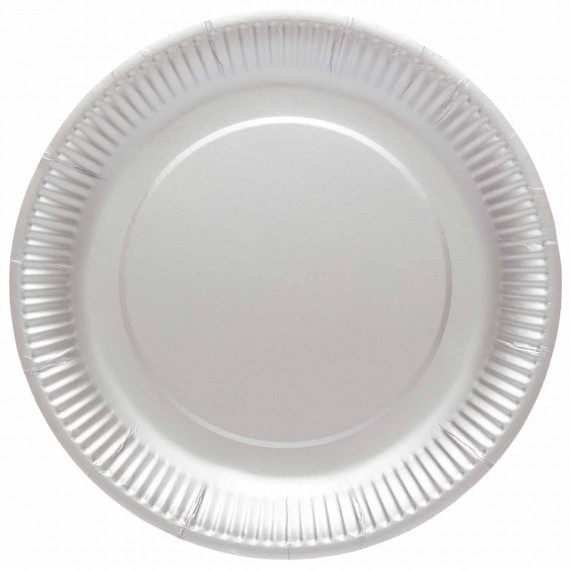 Silver Paper Plates