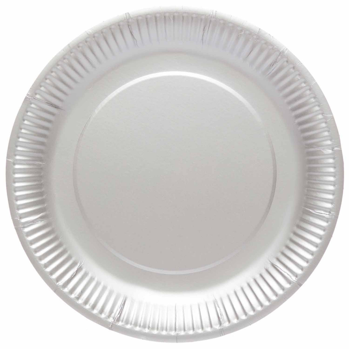 Silver Paper Plates