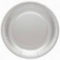 Silver Paper Plates