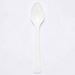Coconut Plastic Spoons