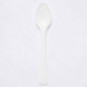Coconut Plastic Spoons