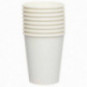 White Paper Cups