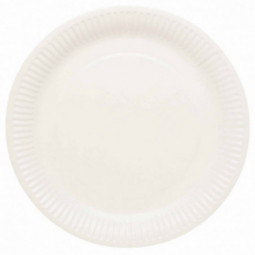 White Paper Plates