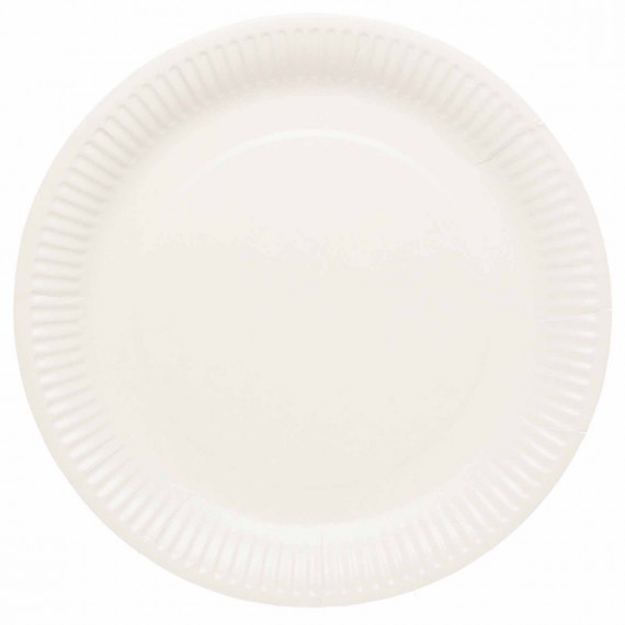 White Paper Plates