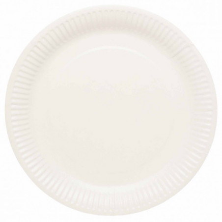 White Paper Plates