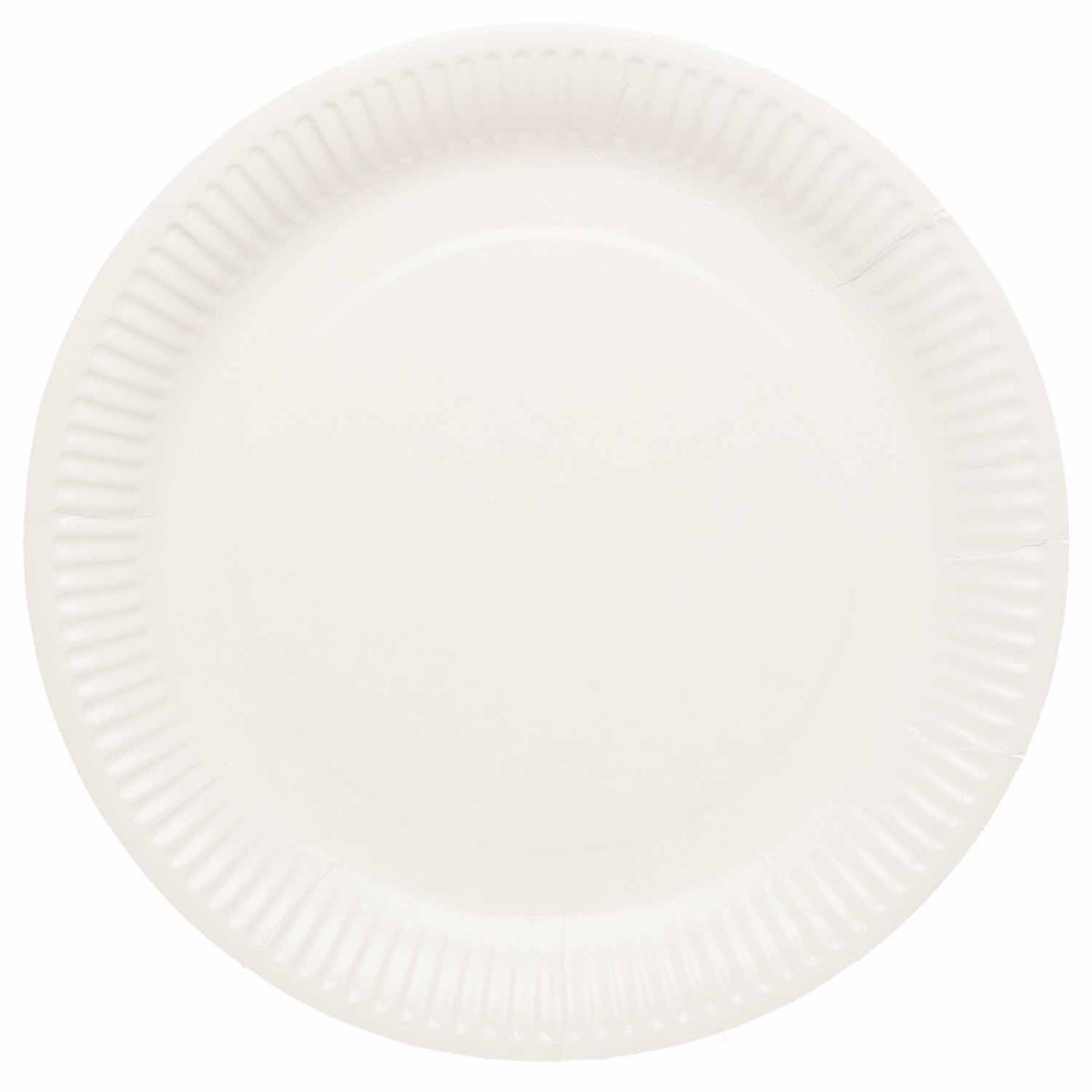 White Paper Plates